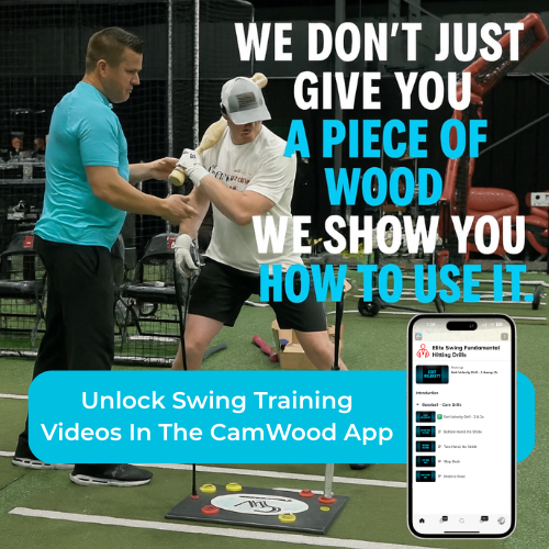 Baseball Hands & Speed Trainer