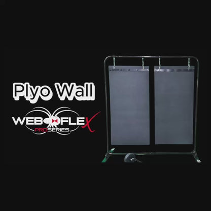 Pro Series Plyo Wall