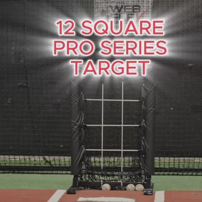 Web Flex Pro 12 Square Pitching Target